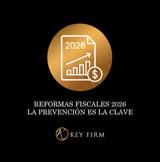 boletin noviembre 2025